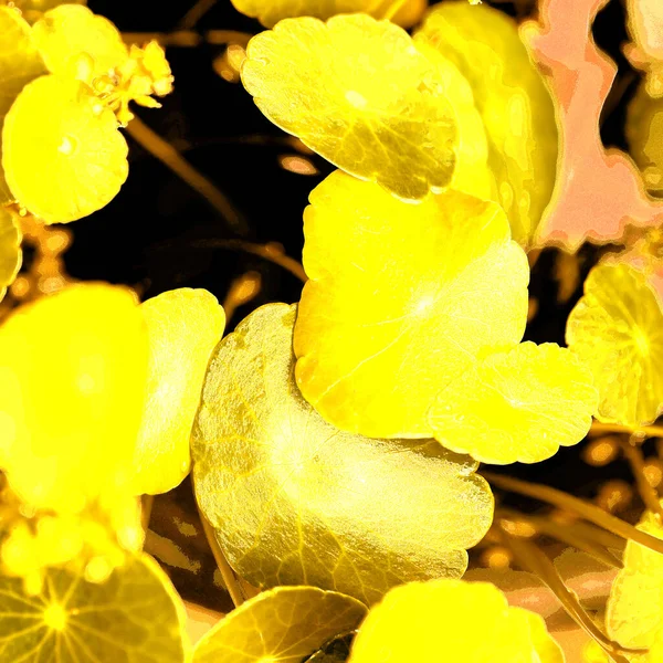 Modern tasarım çizimi. Çizgi ve renk bloğu geometrik şekiller. Pop sanat