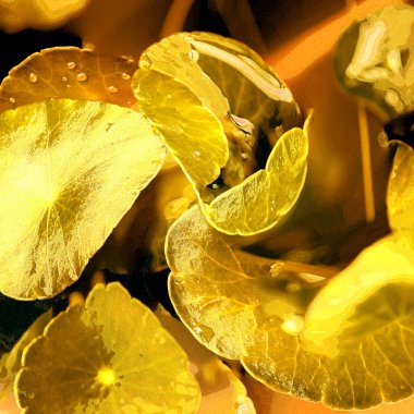 Modern tasarım çizimi. Çizgi ve renk bloğu geometrik şekiller. Pop sanat