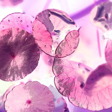 Modern tasarım çizimi. Çizgi ve renk bloğu geometrik şekiller. Pop sanat