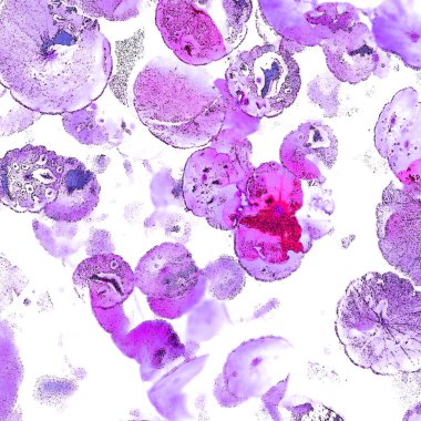 Modern tasarım çizimi. Çizgi ve renk bloğu geometrik şekiller. Pop sanat