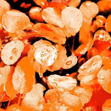 Modern tasarım çizimi. Çizgi ve renk bloğu geometrik şekiller. Pop sanat