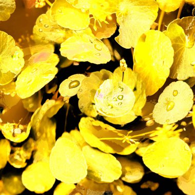 Modern tasarım çizimi. Çizgi ve renk bloğu geometrik şekiller. Pop sanat