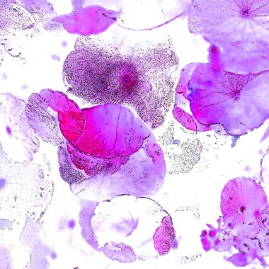 Modern tasarım çizimi. Çizgi ve renk bloğu geometrik şekiller. Pop sanat