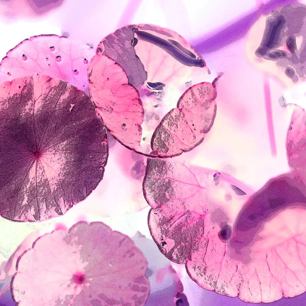 Modern tasarım çizimi. Çizgi ve renk bloğu geometrik şekiller. Pop sanat