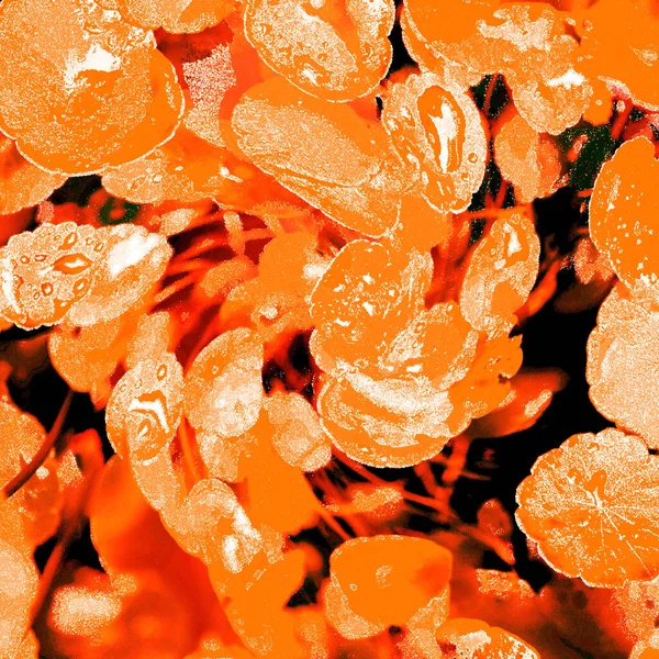 Modern tasarım çizimi. Çizgi ve renk bloğu geometrik şekiller. Pop sanat