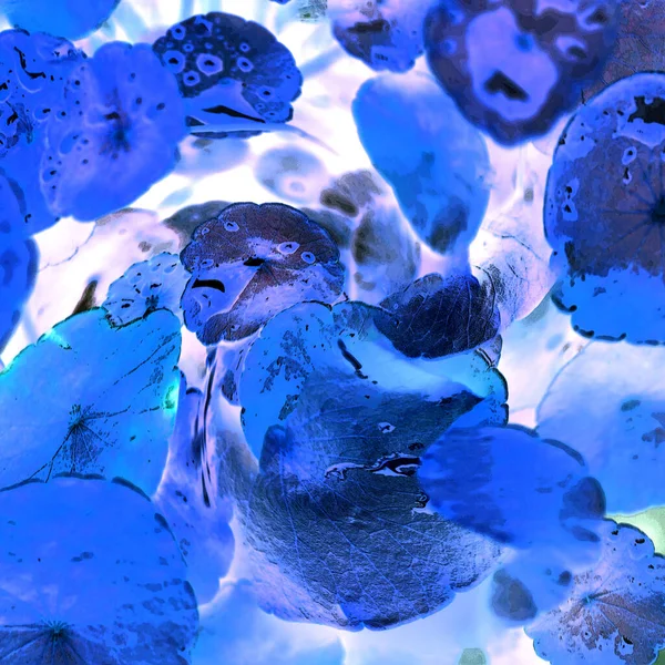 Modern tasarım çizimi. Çizgi ve renk bloğu geometrik şekiller. Pop sanat