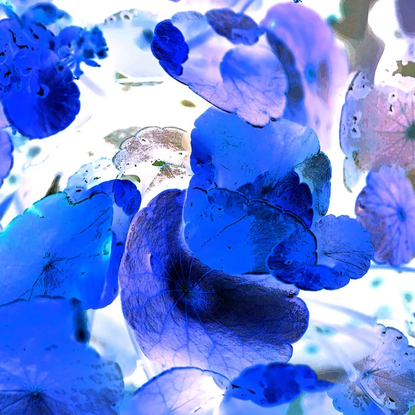 Modern tasarım çizimi. Çizgi ve renk bloğu geometrik şekiller. Pop sanat