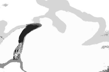 Modern soyut resim. Renkli akıcı sanat resimleri. Geometrik arkaplan.