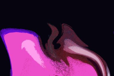 Hayattaki yaratıcı çizimler. Tasarımcılar için renkli ve güzel arkaplan modelleri.