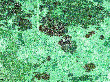 Renkli basit arka plan, dalgalı etkisi. Etkisi noktalarla. Ritmik ses parçacıklar. Tahıl doku. Renkli darbeleri ile duvar kağıdı. Duvar iç tasarım, lockscreen, paket için desen