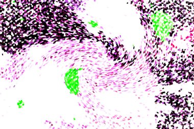 Dalgalı çizgiler. Soyut çizgiler. Doku arka planı. düzensiz desen. Şık modern. Pop sanat. Nokta etkisi. Ritmik gürültü parçacıkları. Paket için desen. Renkli vuruşlu duvar kağıdı.