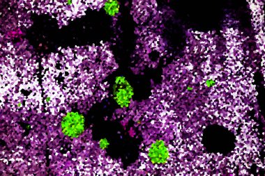 Dalgalı çizgiler. Soyut çizgiler. Doku arka planı. düzensiz desen. Şık modern. Pop sanat. Nokta etkisi. Ritmik gürültü parçacıkları. Paket için desen. Renkli vuruşlu duvar kağıdı.