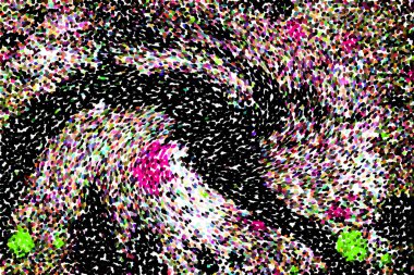 Dalgalı çizgiler. Soyut çizgiler. Doku arka planı. düzensiz desen. Şık modern. Pop sanat. Nokta etkisi. Ritmik gürültü parçacıkları. Paket için desen. Renkli vuruşlu duvar kağıdı.