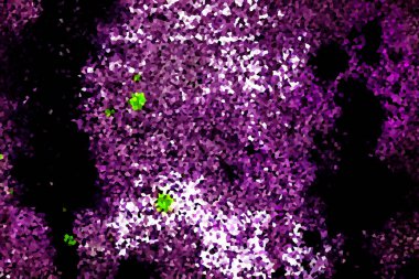Dalgalı çizgiler. Soyut çizgiler. Doku arka planı. düzensiz desen. Şık modern. Pop sanat. Nokta etkisi. Ritmik gürültü parçacıkları. Paket için desen. Renkli vuruşlu duvar kağıdı.
