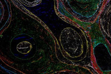 Dalgalı çizgiler. Soyut çizgiler. Doku arka planı. düzensiz desen. Şık modern. Pop sanat. Nokta etkisi. Ritmik gürültü parçacıkları. Paket için desen. Renkli vuruşlu duvar kağıdı.