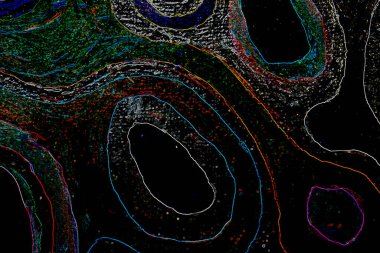 Dalgalı çizgiler. Soyut çizgiler. Doku arka planı. düzensiz desen. Şık modern. Pop sanat. Nokta etkisi. Ritmik gürültü parçacıkları. Paket için desen. Renkli vuruşlu duvar kağıdı.