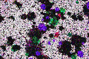 Dalgalı çizgiler. Soyut çizgiler. Doku arka planı. düzensiz desen. Şık modern. Pop sanat. Nokta etkisi. Ritmik gürültü parçacıkları. Paket için desen. Renkli vuruşlu duvar kağıdı.