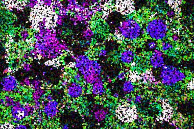 Dalgalı çizgiler. Soyut çizgiler. Doku arka planı. düzensiz desen. Şık modern. Pop sanat. Nokta etkisi. Ritmik gürültü parçacıkları. Paket için desen. Renkli vuruşlu duvar kağıdı.