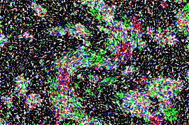 Dalgalı çizgiler. Soyut çizgiler. Doku arka planı. düzensiz desen. Şık modern. Pop sanat. Nokta etkisi. Ritmik gürültü parçacıkları. Paket için desen. Renkli vuruşlu duvar kağıdı.