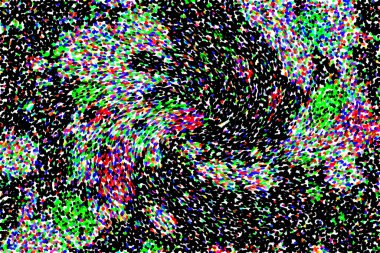 Dalgalı çizgiler. Soyut çizgiler. Doku arka planı. düzensiz desen. Şık modern. Pop sanat. Nokta etkisi. Ritmik gürültü parçacıkları. Paket için desen. Renkli vuruşlu duvar kağıdı.