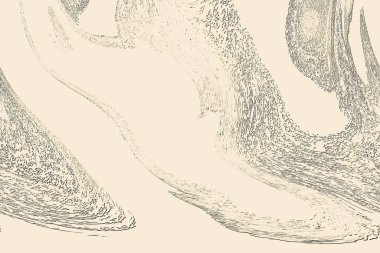 Yaratıcı model. Taş deseni. Seramik doku. Duvar kağıdı tasarımı. Vektör deseni. Satırları tekrarla.