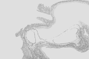 Yaratıcı model. Taş deseni. Seramik doku. Duvar kağıdı tasarımı. Vektör deseni. Satırları tekrarla.