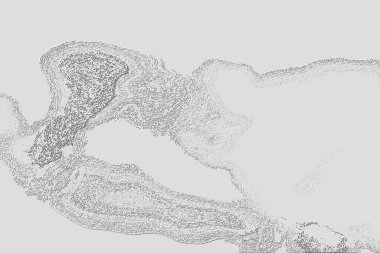 Yaratıcı model. Taş deseni. Seramik doku. Duvar kağıdı tasarımı. Vektör deseni. Satırları tekrarla.