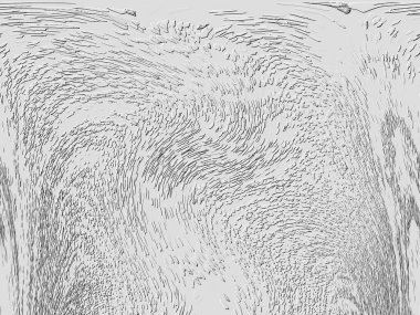 Yaratıcı model. Taş deseni. Seramik doku. Duvar kağıdı tasarımı. Vektör deseni. Satırları tekrarla.