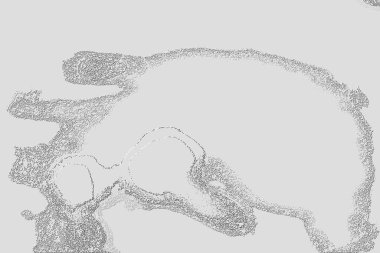 Yaratıcı model. Taş deseni. Seramik doku. Duvar kağıdı tasarımı. Vektör deseni. Satırları tekrarla.