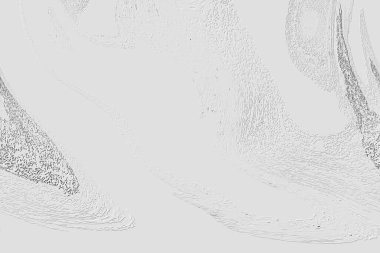 Yaratıcı model. Taş deseni. Seramik doku. Duvar kağıdı tasarımı. Vektör deseni. Satırları tekrarla.