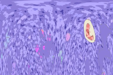 Geometrik çok renkli soyut arkaplan koleksiyonu