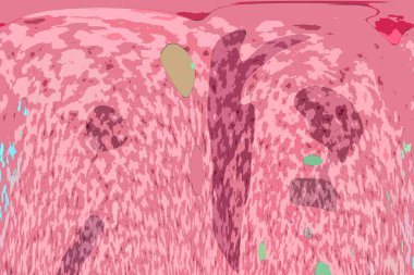 Geometrik çok renkli soyut arkaplan koleksiyonu