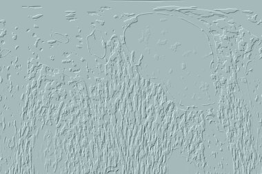 Vektör deseni. çok renkli arkaplan