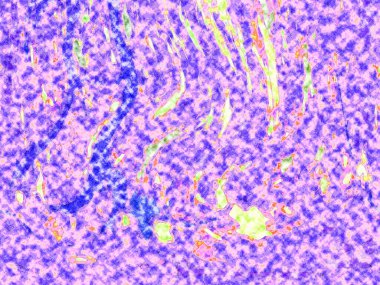 Modern soyut resim. Renkli akıcı sanat resimleri. Geometrik arkaplan.