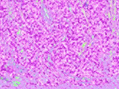 Modern soyut resim. Renkli akıcı sanat resimleri. Geometrik arkaplan.