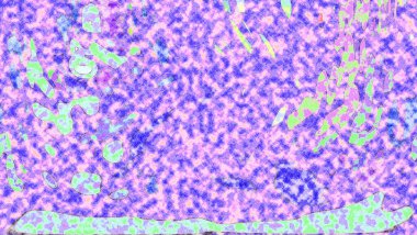 Modern soyut resim. Renkli akıcı sanat resimleri. Geometrik arkaplan.