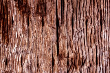 Güzel ahşap tahıl. Ahşap arka. Tahta desenli arkaplan