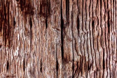 Güzel ahşap tahıl. Ahşap arka. Tahta desenli arkaplan