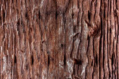 Güzel ahşap tahıl. Ahşap arka. Tahta desenli arkaplan