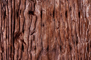 Güzel ahşap tahıl. Ahşap arka. Tahta desenli arkaplan