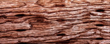 Güzel ahşap tahıl. Ahşap arka. Tahta desenli arkaplan