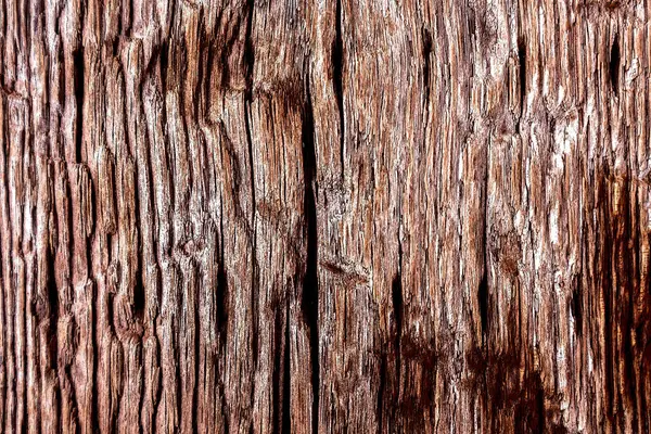 Güzel ahşap tahıl. Ahşap arka. Tahta desenli arkaplan