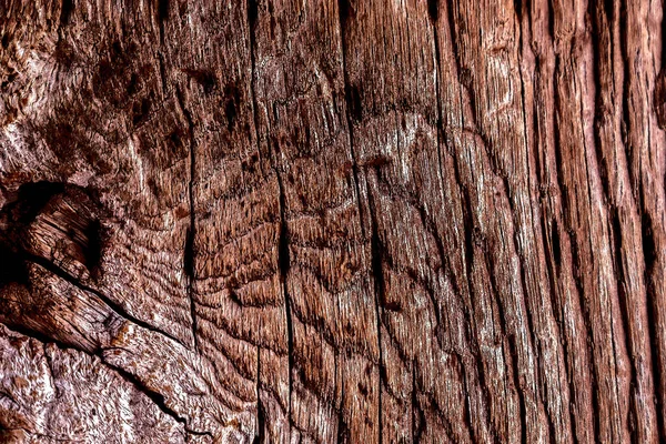 Beautiful wood grain. Wood background. Wood grain pattern texture ...