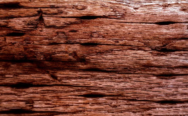 Beautiful wood grain. Wood background. Wood grain pattern texture background