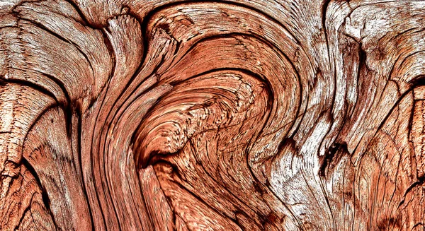 Güzel ahşap tahıl. Ahşap arka. Tahta desenli arkaplan