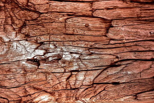 Beautiful wood grain. Wood background. Wood grain pattern texture background