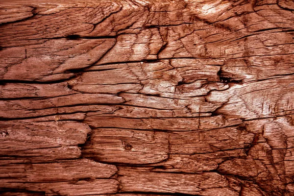 漂亮的木粒木材背景 木纹纹理背景 — 图库照片