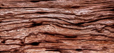 Güzel ahşap tahıl. Ahşap arka. Tahta desenli arkaplan