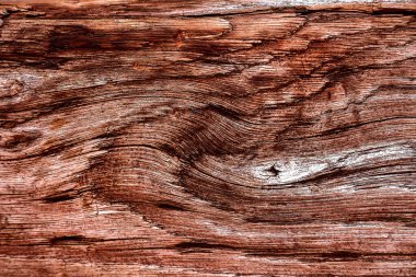 Güzel ahşap tahıl. Ahşap arka. Tahta desenli arkaplan