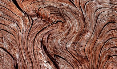 Güzel ahşap tahıl. Ahşap arka. Tahta desenli arkaplan